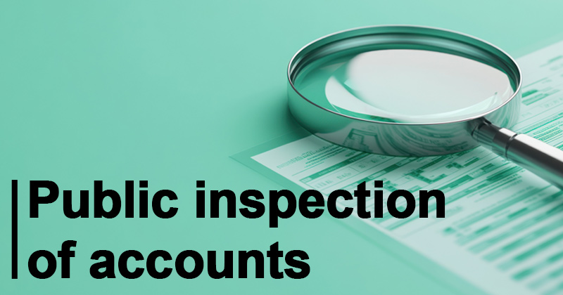 Public inspection of accounts