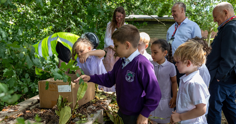 Councillors watch pupils filling the bug hotel with local fauna