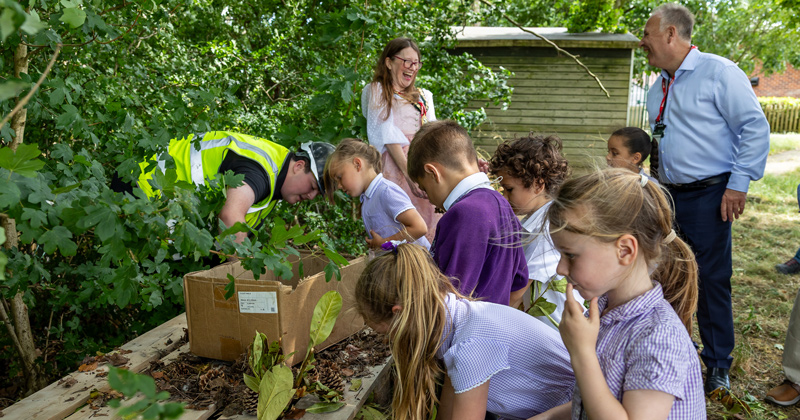 Filling the bug hotel with twigs and leaves