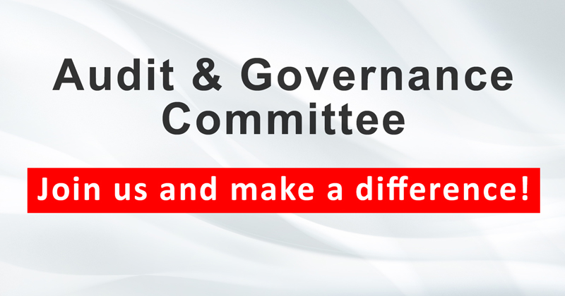 Audit and Governance Committee
