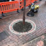 Tree pits repaired and new trees