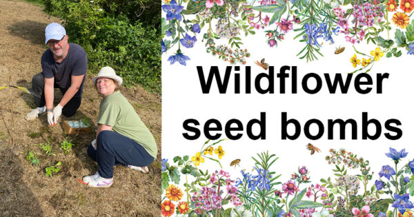 Wildflower seed bombs