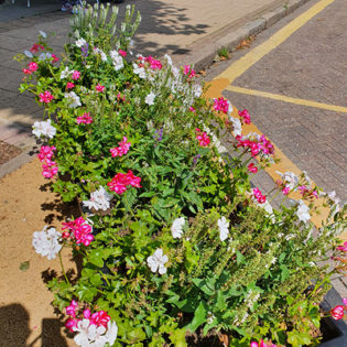 New planters in Epping High Street