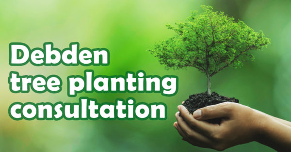 Debden tree planting consultation