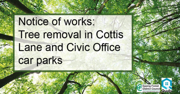 Notice of tree removal in car parks