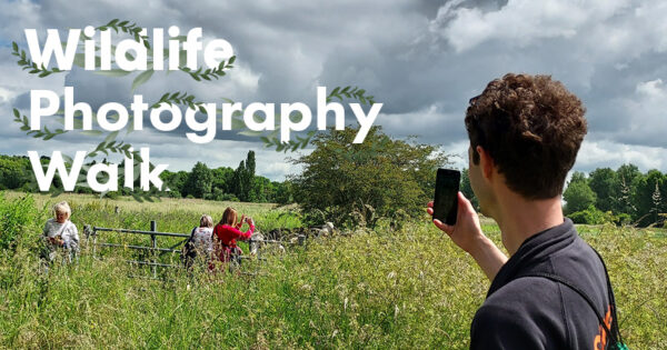 Wildlife photography walk