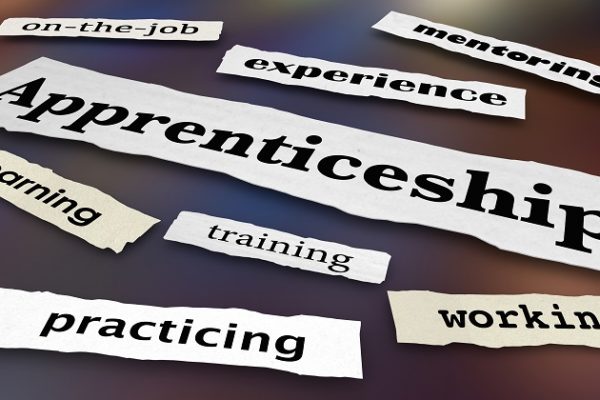 Apprenticeship, experience, mentoring, working, training, learning, practicing and on-the-job