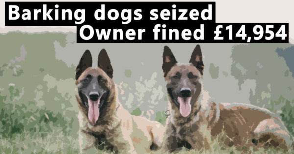 Barking dogs seized - owner fined £14,954