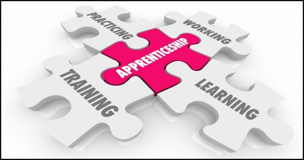 Apprenticeship, training, learning, practicing and working